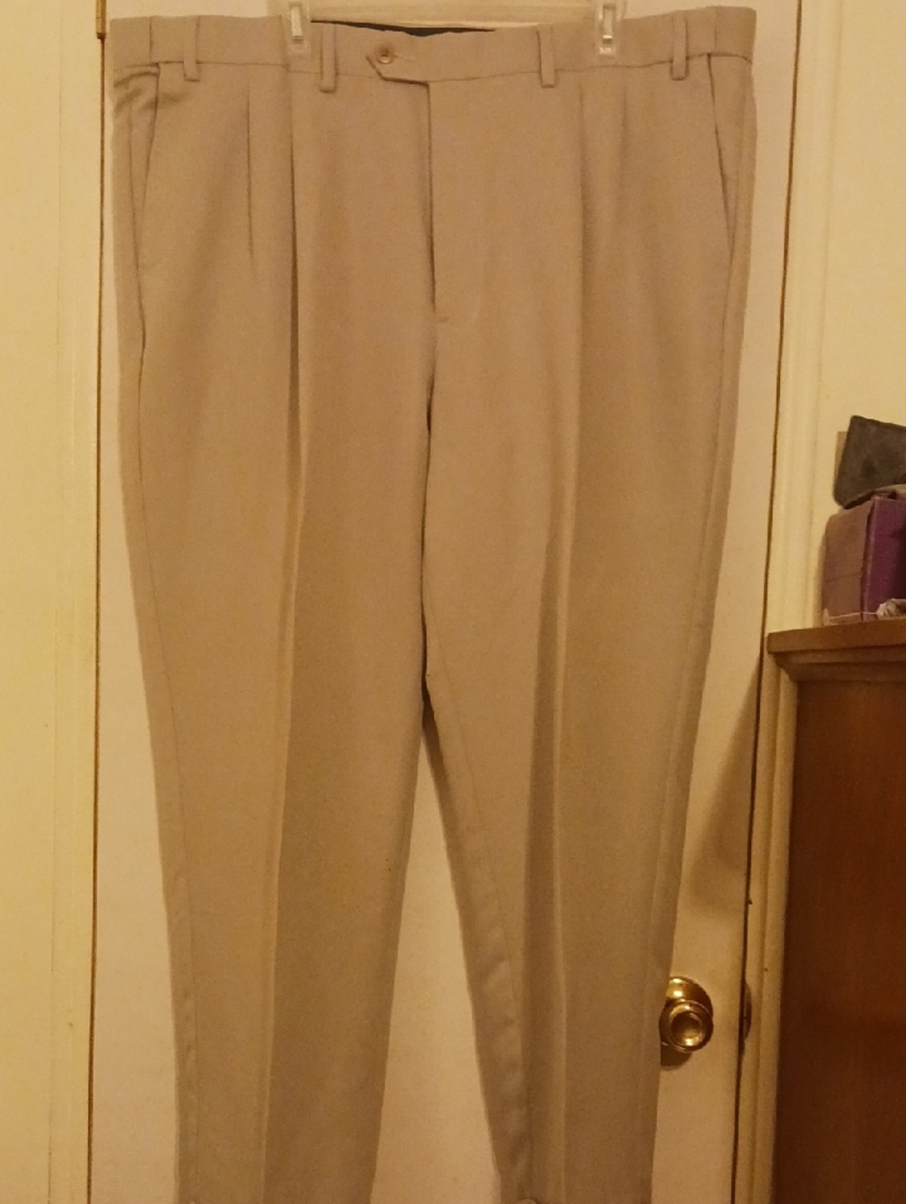 Savane Men's Pleated Dress Pants in Beige-Tan